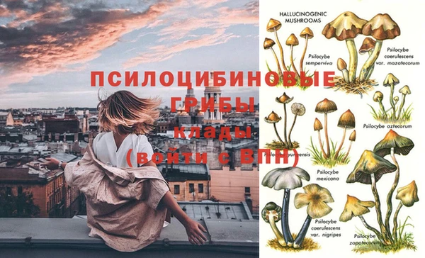 хмурый Абдулино
